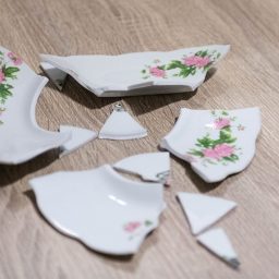 Impressions of Humanity