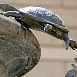 Ritratti nella città