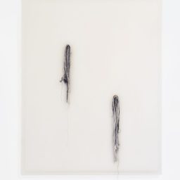 ECOLOGIA INTERIORE - Giulia Spernazza